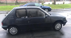 Peugeot 205 de 1991